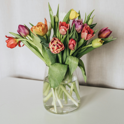 Simply Tulips - Send a fresh bundle of spring, these mixed tulips are the perfect pick-me-up! Fresh Flowers for same day delivery and collection in Bolsover, Chesterfield.