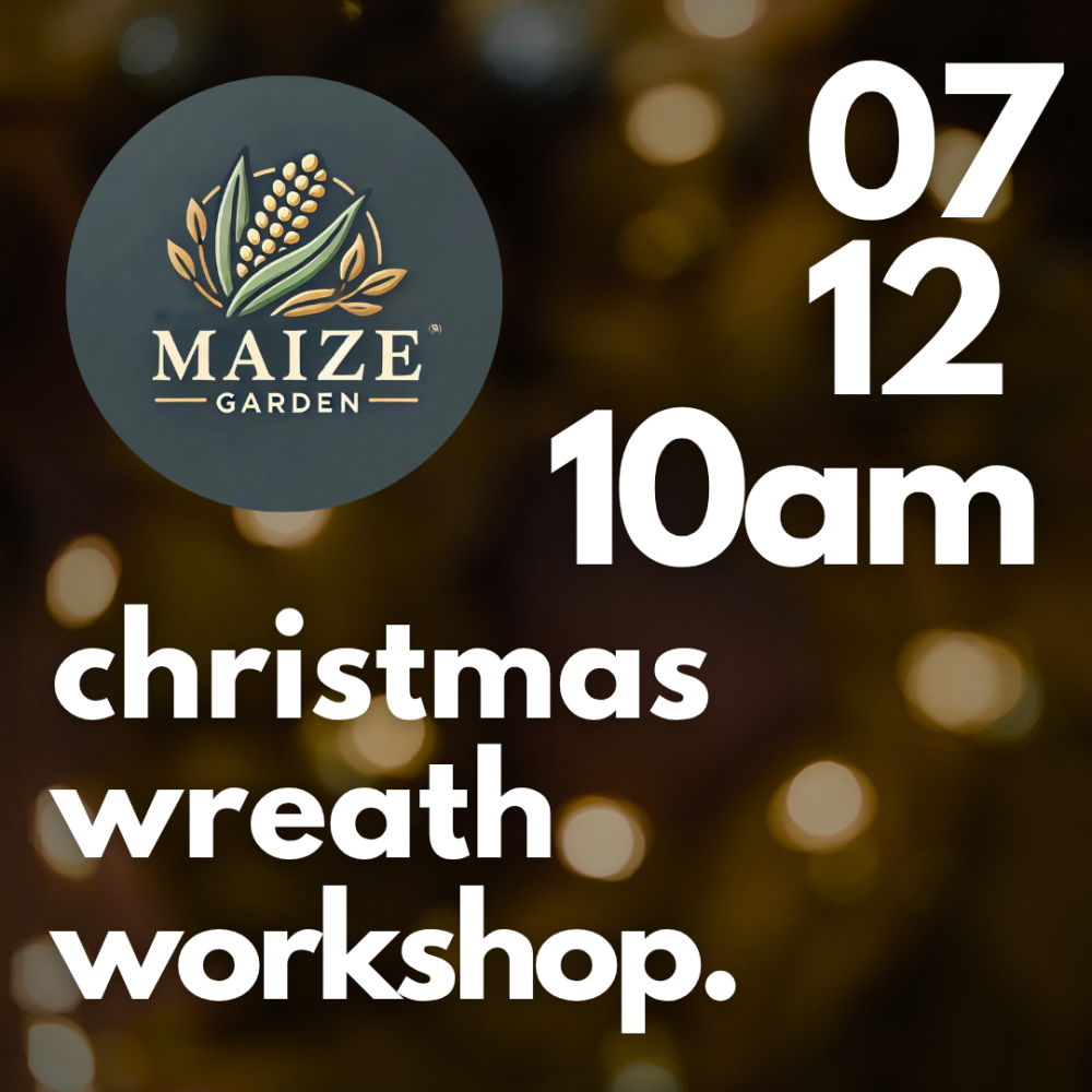 Christmas Wreath Making at MAIZE GARDEN Christmas Wreath Making at MAIZE GARDEN